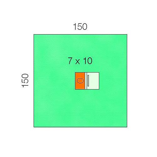 Lohmann & Rauscher International GmbH & Co. KG Raucodrape PRO Augentuch 3-lagig, 150x150cm, steril, 16 Stk