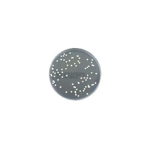 BD Sabouraud 4% Glukose-Agar AP 20 schwach selektiv 90mm