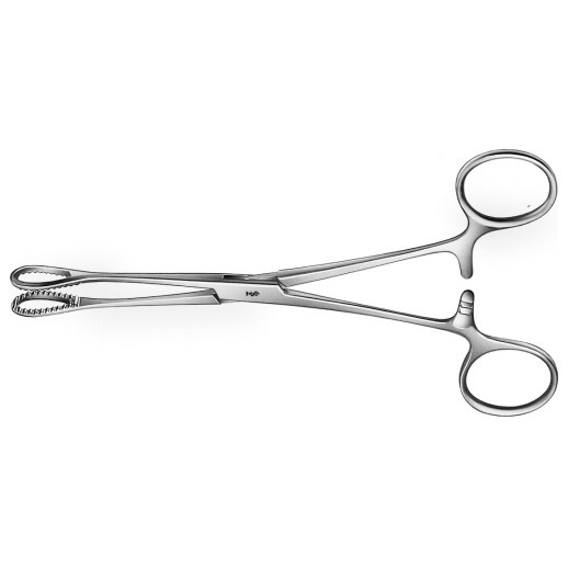 FOERSTER-BALLENGER Schwammzange 18cm gerade