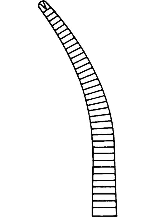 MARTIN Mosquitoklemme 12,5cm gebogen 1X2Z.