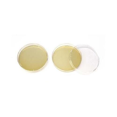 Nutriplate Selektivagar PK 20 für pathogene Pilze, Ø 60mm