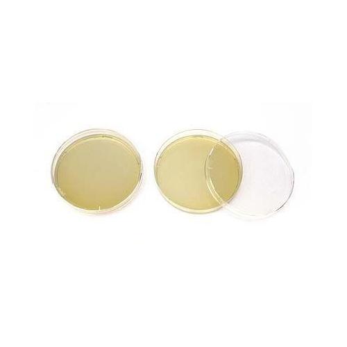 WERNER Nutriplate Selektivagar PK 20 für pathogene Pilze, Ø 60mm
