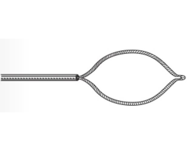 FUJIFILM MEDWORK GMBH Einmal Polypektomieschlinge Litze AP 10, oval, 20mm, 220cm