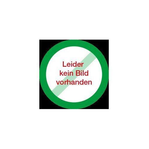 PAJUNK MEDICAL PRODUKTE GMBH Introducer 1,0x30mm PK 25 für Sprotte Kanüle 22G