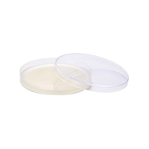 Nutriplate Sabouraud-Agar 2% Glucose AP 20 Mini-Platten DM: 60mm